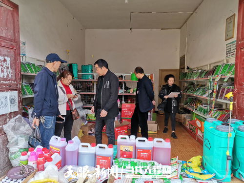 畢節大方 農資打假護春耕，促種業安全發展展新篇
